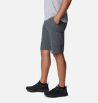 COLUMBIA MEN'S SILVER RIDGE™ CARGO SHORTS