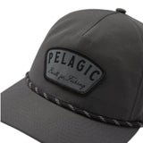 Pelagic Fish Unstructured