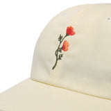 STANDARD ADJUSTABLE CAP