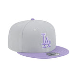 Mlb Los Angeles Dodgers 9Fifty Snapback