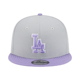 Mlb Los Angeles Dodgers 9Fifty Snapback