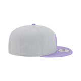 Mlb Los Angeles Dodgers 9Fifty Snapback