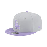 Mlb Los Angeles Dodgers 9Fifty Snapback