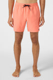 LENNOX HERMOSA SOLID 17" SWIM TRUNKS