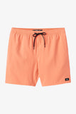 LENNOX HERMOSA SOLID 17" SWIM TRUNKS
