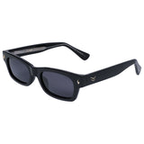 FLYNN POLARIZED LENS