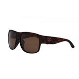 NICK I WATERMAN TORT / BROWN POLARIZED LENS